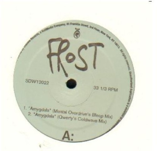Frost - Amygdala