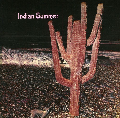 Indian Summer - Indian Summer (Blk) (Gate) (Ita) vinyl record cover