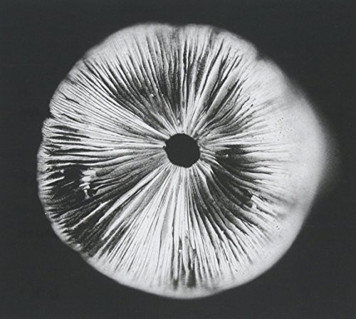 Drug Cult - Drug Cult