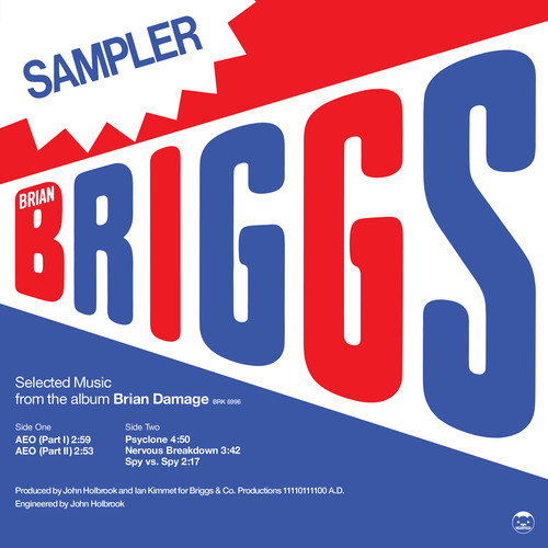 Brian Briggs - Selected Music From The Album Brian Damage vinyl record cover