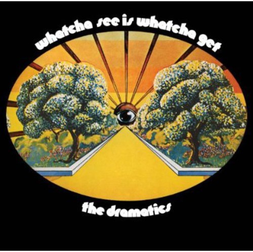 The Dramatics - Whatcha See Is Whatcha Get vinyl record cover