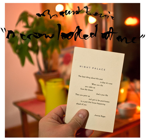 Mount Eerie - Crow Looked At Me