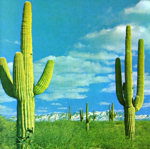 Album Art