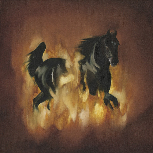 The Besnard Lakes - The Besnard Lakes Are The Dark Horse vinyl record cover