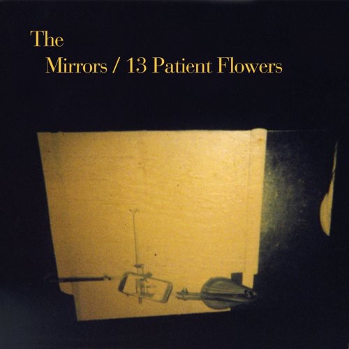 Mirrors - 13 Patient Flowers vinyl record cover