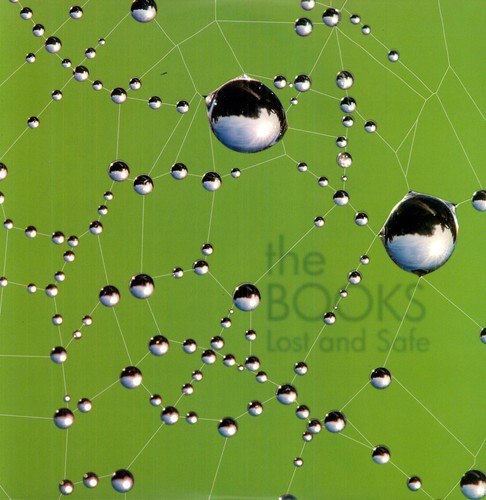 Books - Lost & Safe vinyl record cover