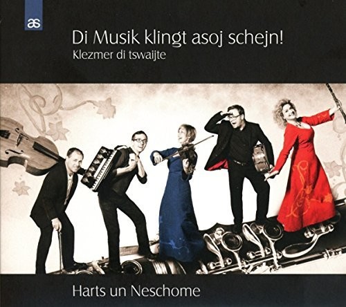Harts Un Neschome - Di Musik Klingt Asoj Schejn vinyl record cover