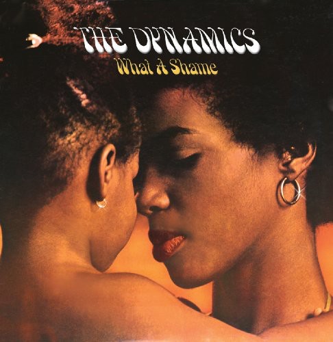 Dynamics - What a Shame vinyl record cover