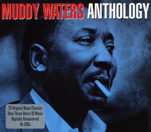 Muddy Waters - Anthology vinyl record cover