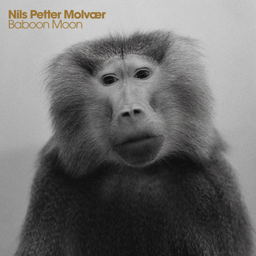 Nils Petter Molvaer - Baboon Moon vinyl record cover