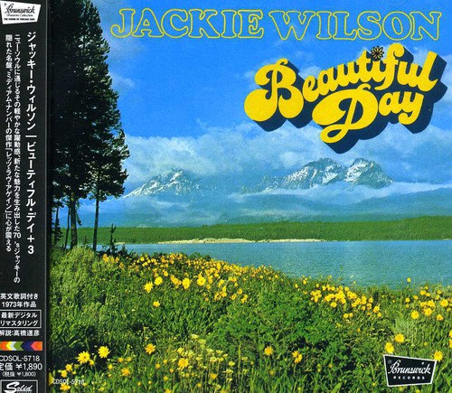 Jackie Wilson - Beautiful Day [Import]