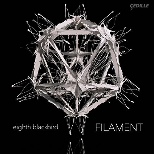 B Dessner / Eighth Blackbird - Filament vinyl record cover