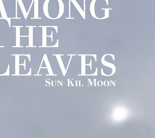 Sun Kil Moon - Among the Leaves