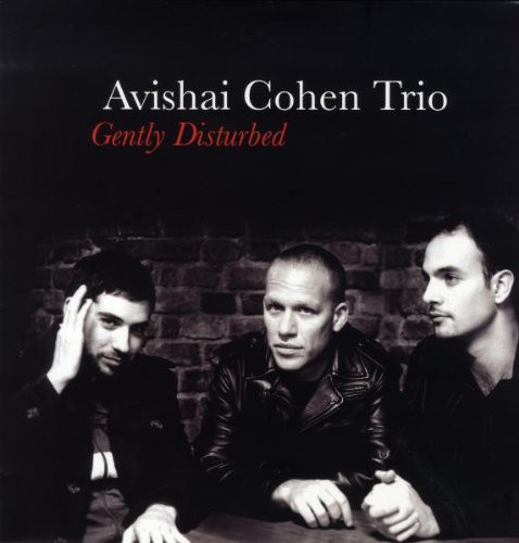 Avishai Cohen - Gently Disturbed vinyl record cover