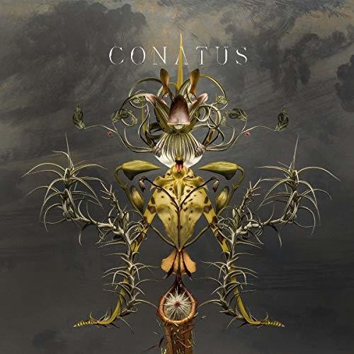 Joep Beving - Conatus vinyl record cover