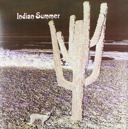 Indian Summer - Indian Summer (Blk) (Gate) (Ita) vinyl record cover