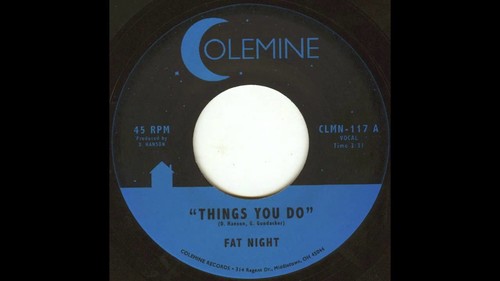 Fat Night - Things You Do vinyl record cover