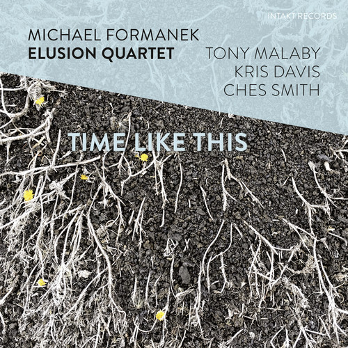 Michael Formanek - Time Like This vinyl record cover
