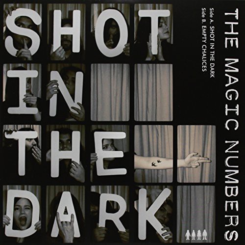 Shot in the Dark