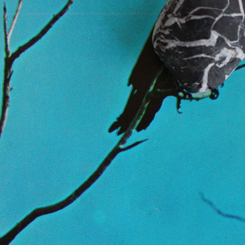 Tangents - Stateless vinyl record cover