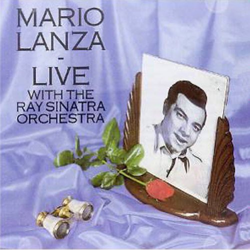 Live with the Ray Sinatra Orchestra