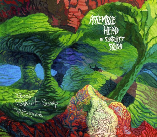 The Assemble Head In Sunburst Sound - When Sweet Sleep Returned vinyl record cover