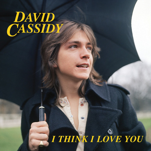I Think I Love You (Blue)