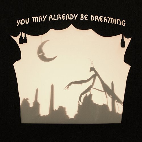 Neva Dinova - You May Already Be Dreaming vinyl record cover