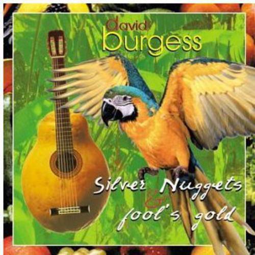 DAVID BURGESS - Silver Nuggets & Fool's Gold