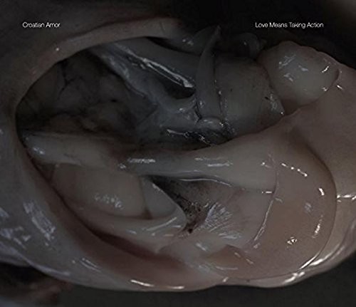 Croatian Amor - Love Means Taking Action vinyl record cover