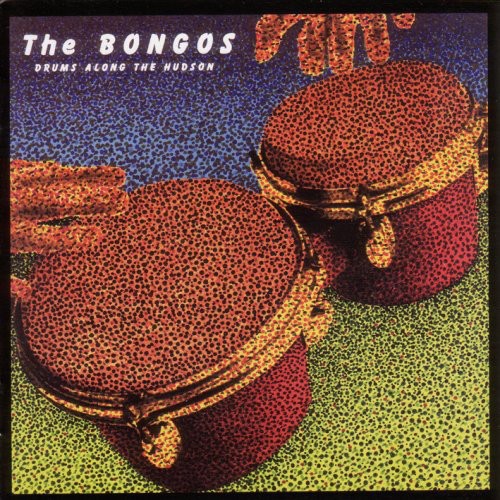 Bongos - Drums Along the Hudson vinyl record cover