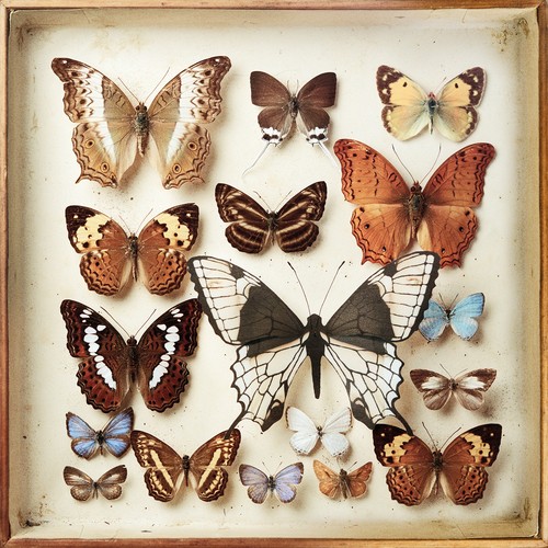 Emiliana Torrini - Rarities vinyl record cover