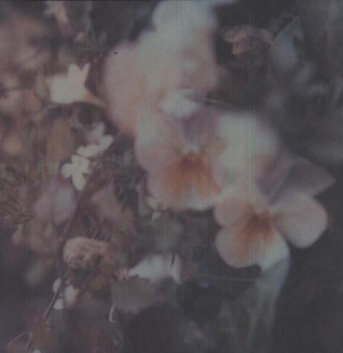 Every Hidden Color - Luz