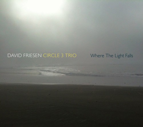 David Friesen & Circle 3 Trio - Where the Light Falls vinyl record cover