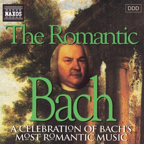 Jaroslav Dvorak - Romantic Bach