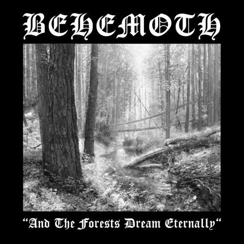 Forests Dream Eternally