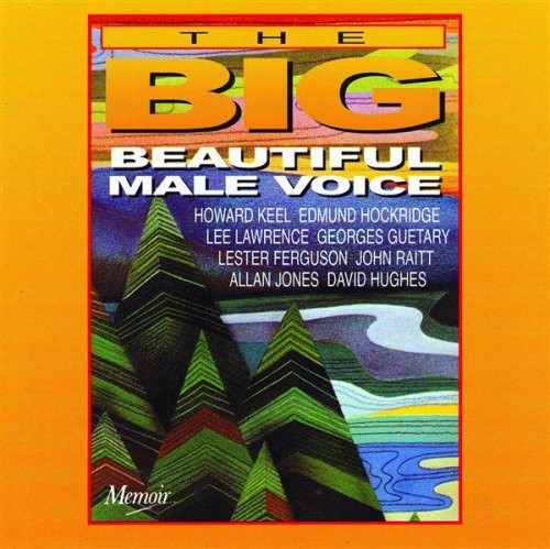 Big Beautiful Male Voice - Big Beautiful Male Voice [Import]