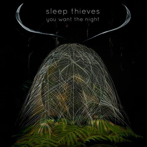 Sleep Thieves - You Want the Night vinyl record cover