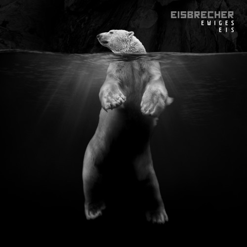 Eisbrecher - Ewiges Eis: 15 Jahre Eisbrecher vinyl record cover