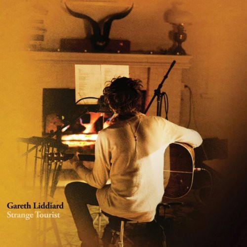Gareth Liddiard - Strange Tourist vinyl record cover