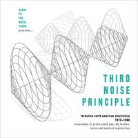 Third Noise Principle: Formative North American Electronica 1975-1984/ Various