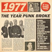 1977: The Year Punk Broke / Various