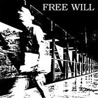 Freewill (Blue)