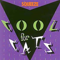 Cool For Cats