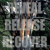 Reveal Release Recover