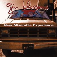 New Miserable Experience