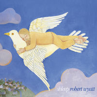 Shleep (W/Cd)