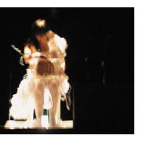 Vespertine LTD CD