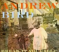 Break It Yourself