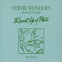 Journey Through The Secret
